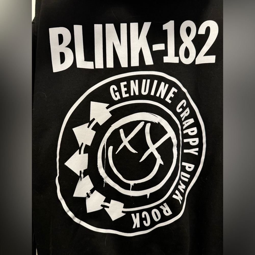 blink-182 Zip Hoodie Size M - Picture 3 of 3